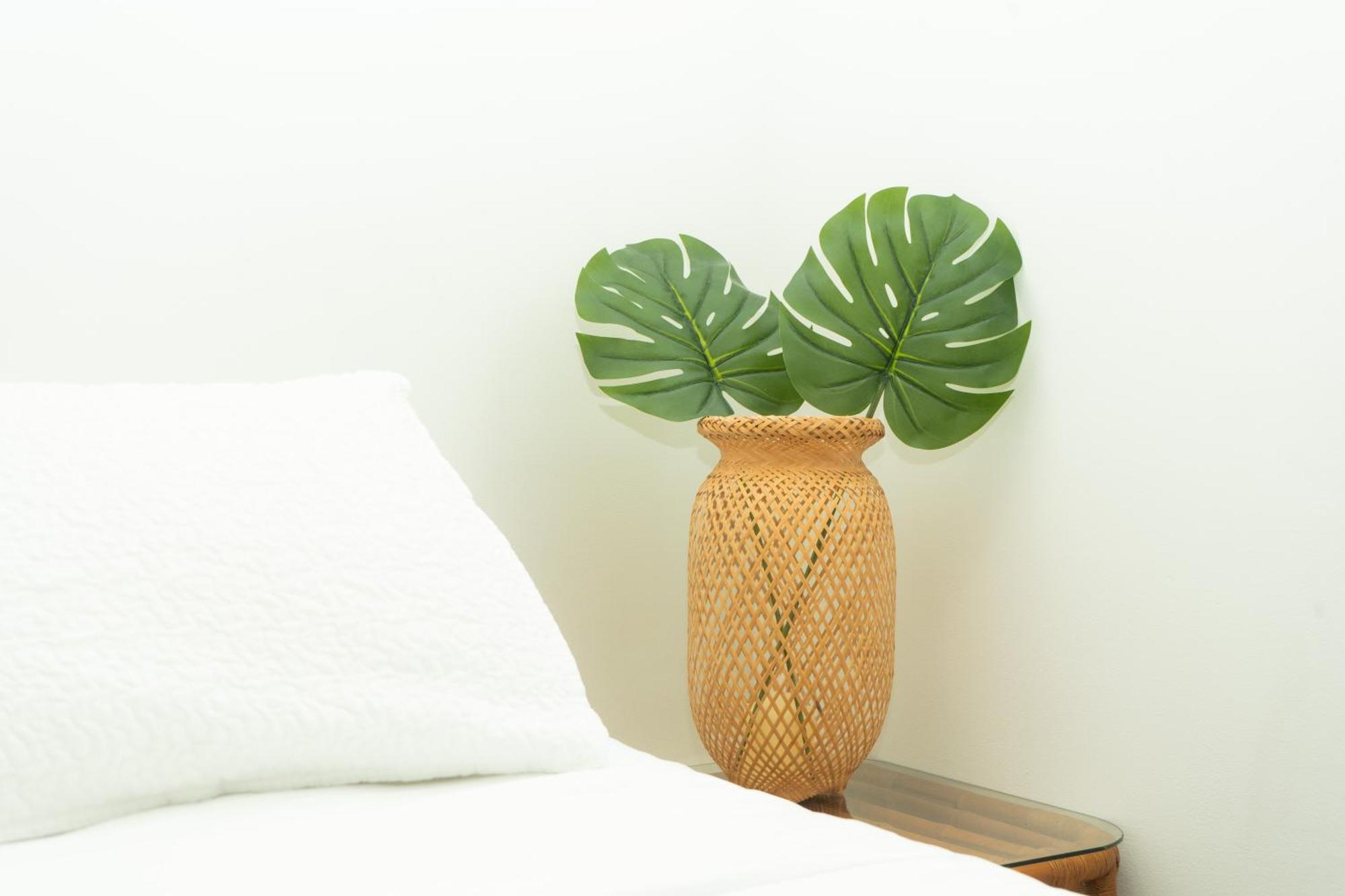 Puesta Del Sol Guest House San Andrés エクステリア 写真